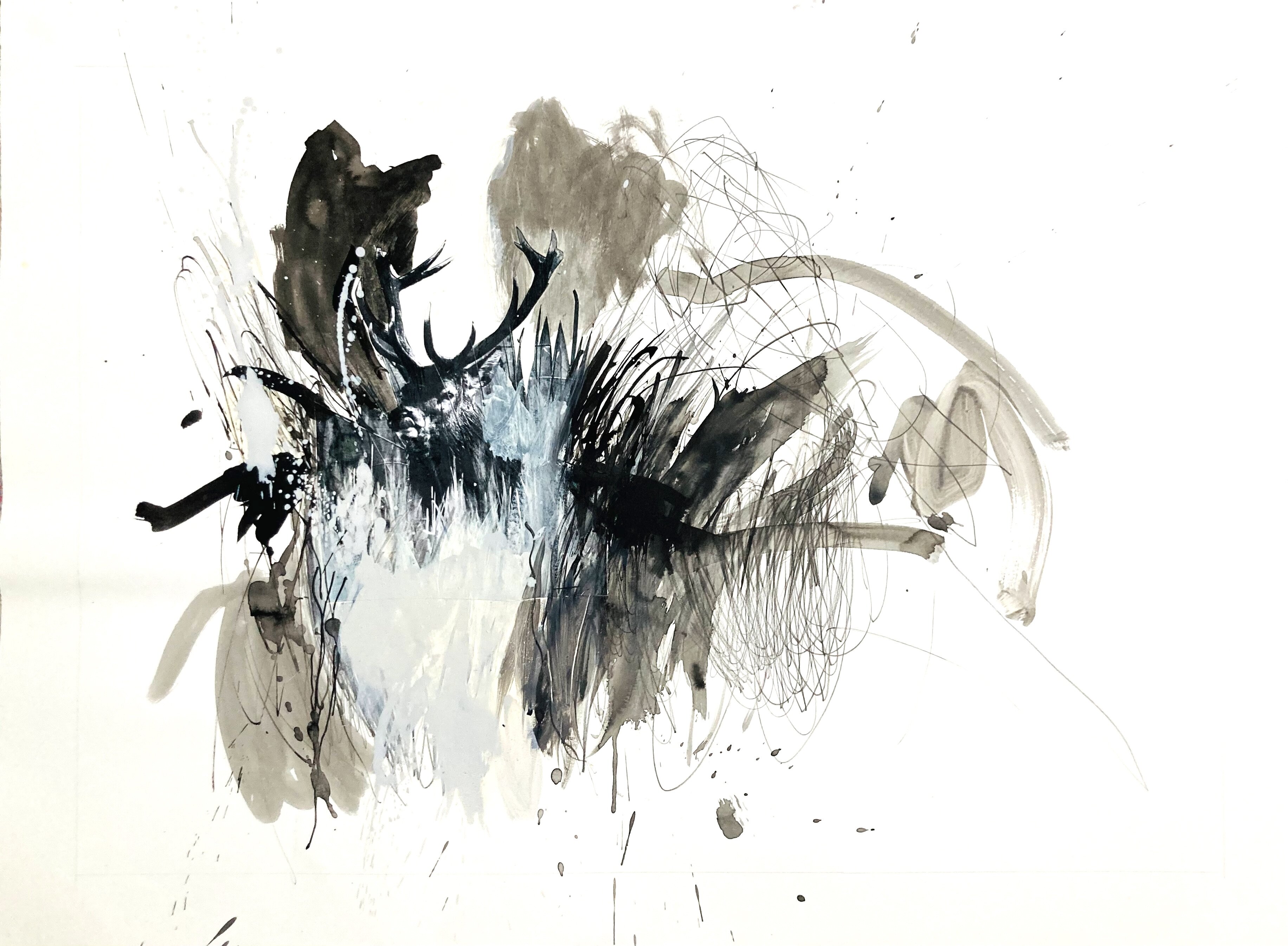 WOODS DEER (sur papier Arches)
