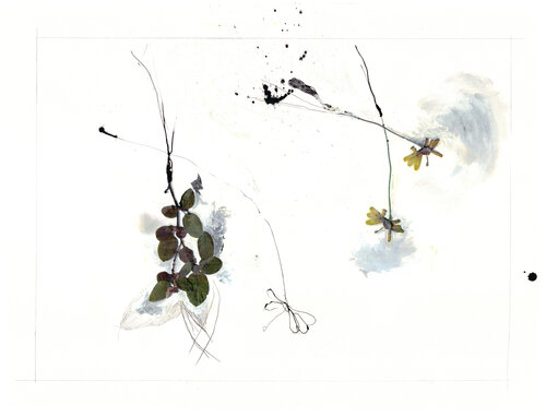 WOODS FLOWER 2 (sur papier Arches) by Suzanne Marcelle, Painting for Sale on Select