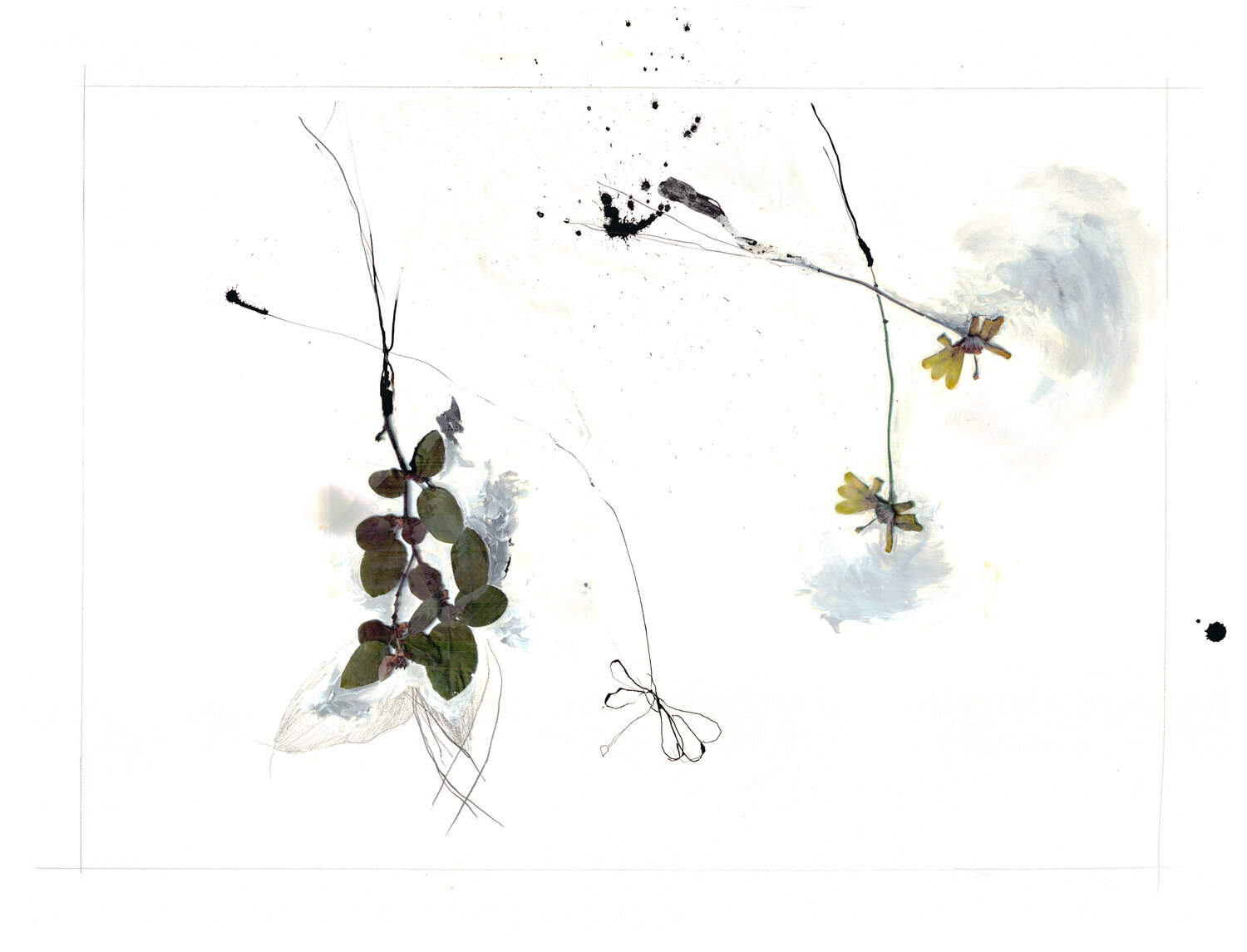 WOODS FLOWER 2 (sur papier Arches) Suzanne Marcelle Original painting for sale