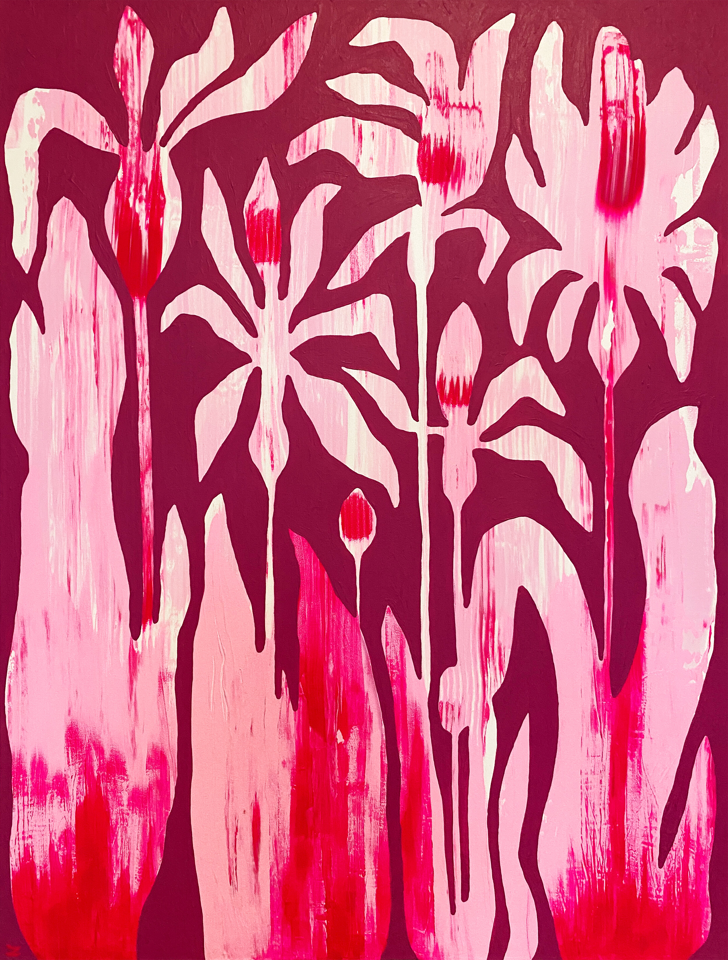 Magenta Heyday