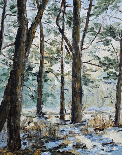 Sunlight through the Pines by Liza Illichmann, Painting for Sale on Select
