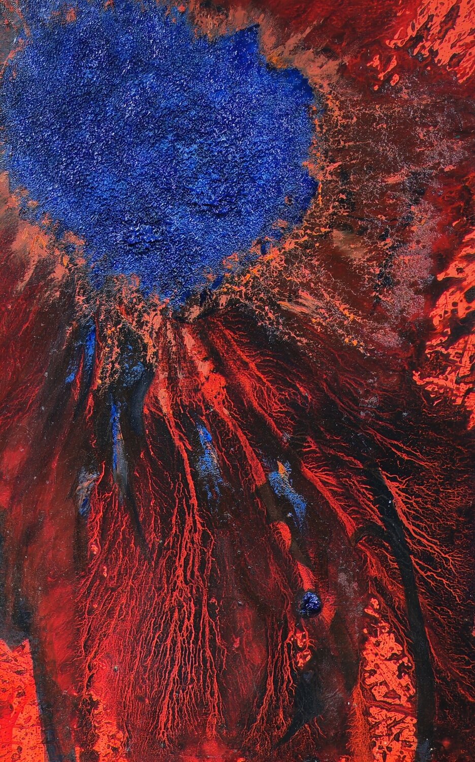 Tournasol de la nuit Sally Churcher Original painting for sale