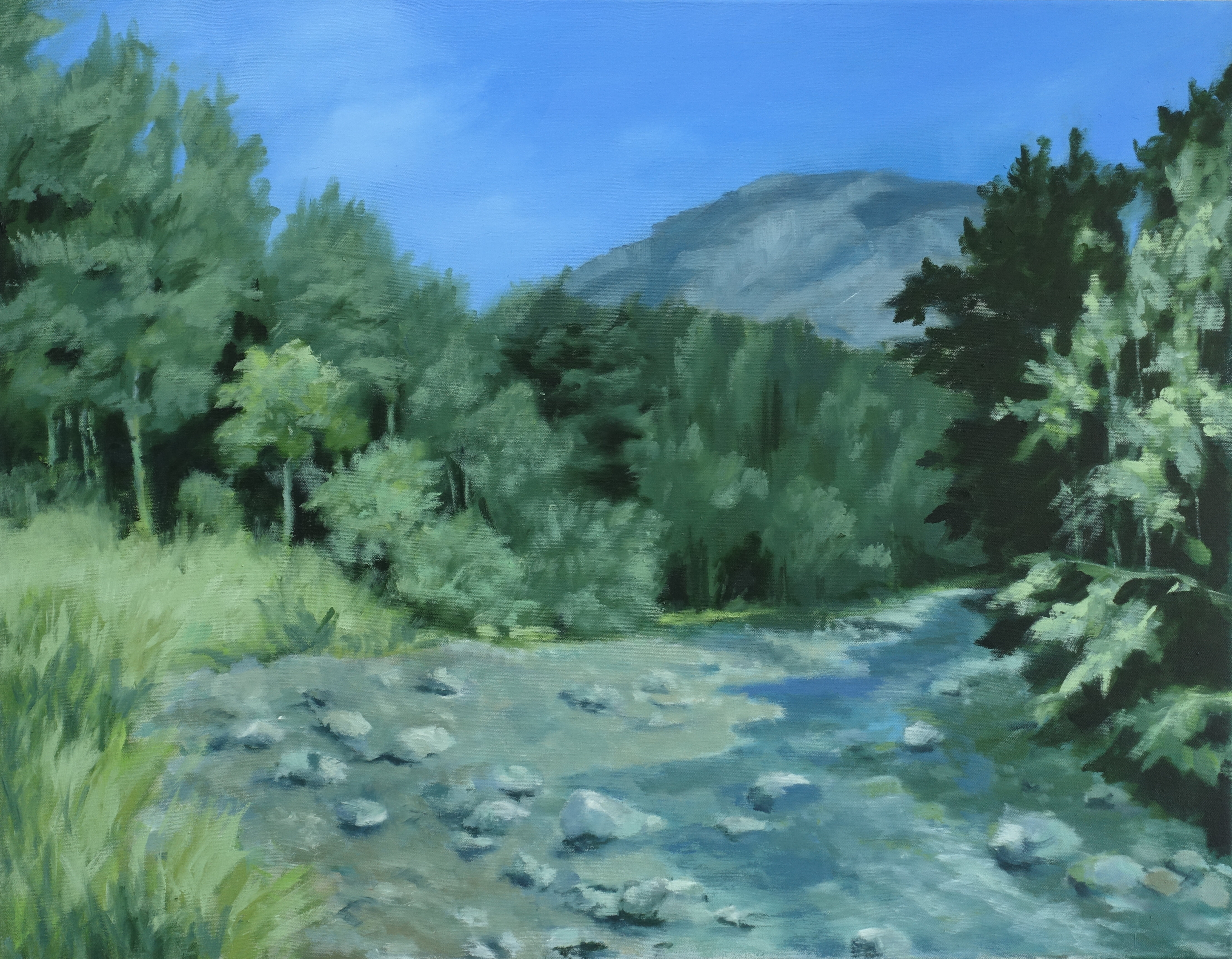 Flusslandschaft 11