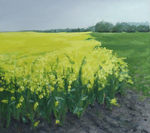 Rapsfeld 8 by Leni Winkelmann, Painting for Sale on Select