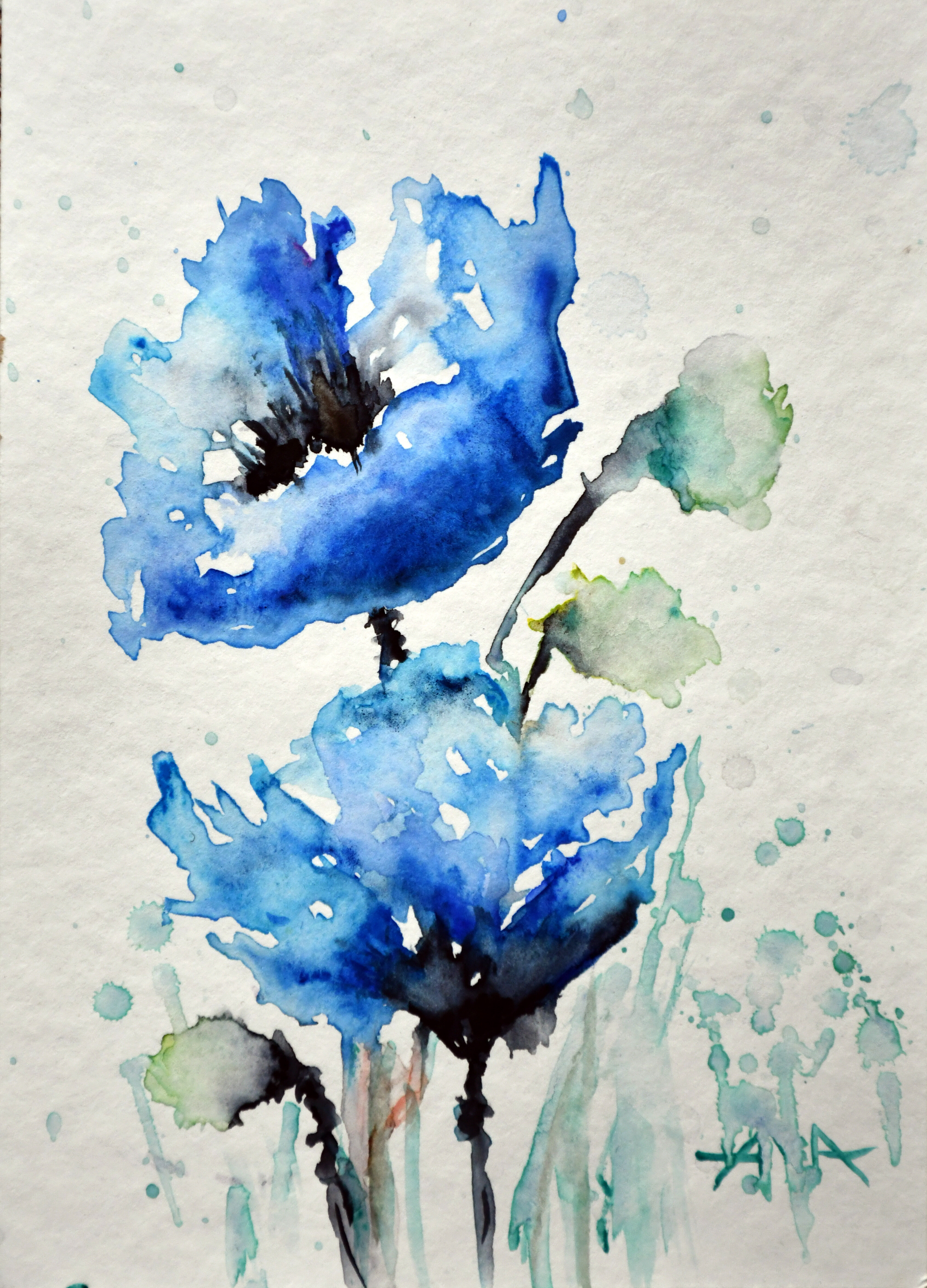 Blue Poppies in Imagination