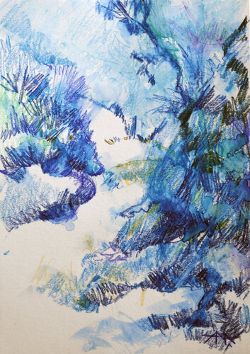 Provençal Upward Glance by Ana Smarż, Drawing for Sale on Select