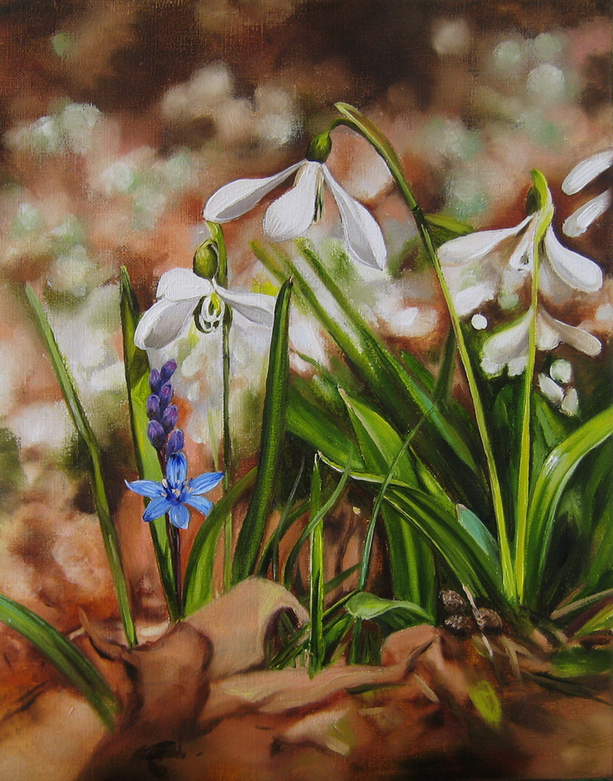 Topic Bluebell paintings