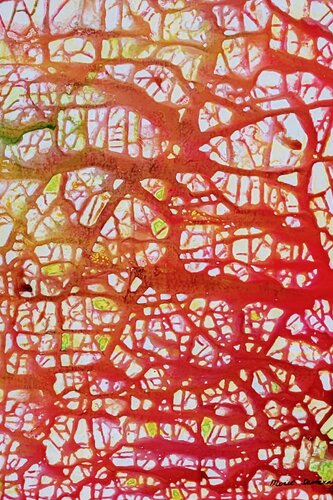 A Park of Reflections by Moise Semexant, Painting for Sale on Select