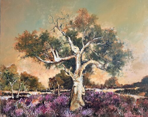 Chêne des Maures by Marie Josiane BLACHON, Painting for Sale on Select