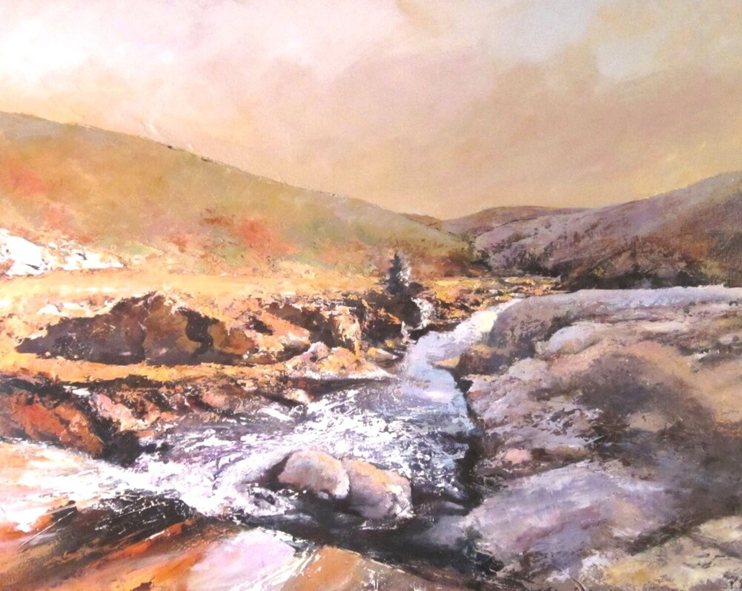 Eaux vives en Maures Marie Josiane BLACHON Original painting for sale