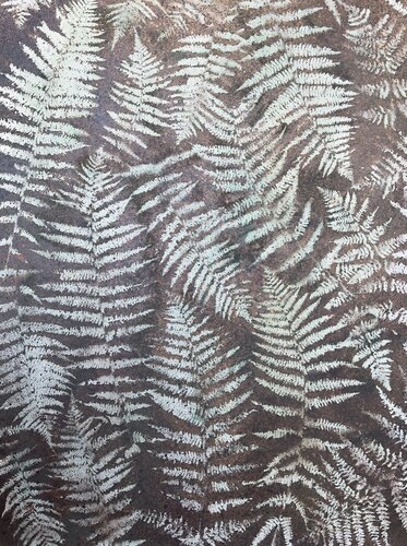 Language of the forest by Tatiana Harris Nielsen, Painting for Sale on Select