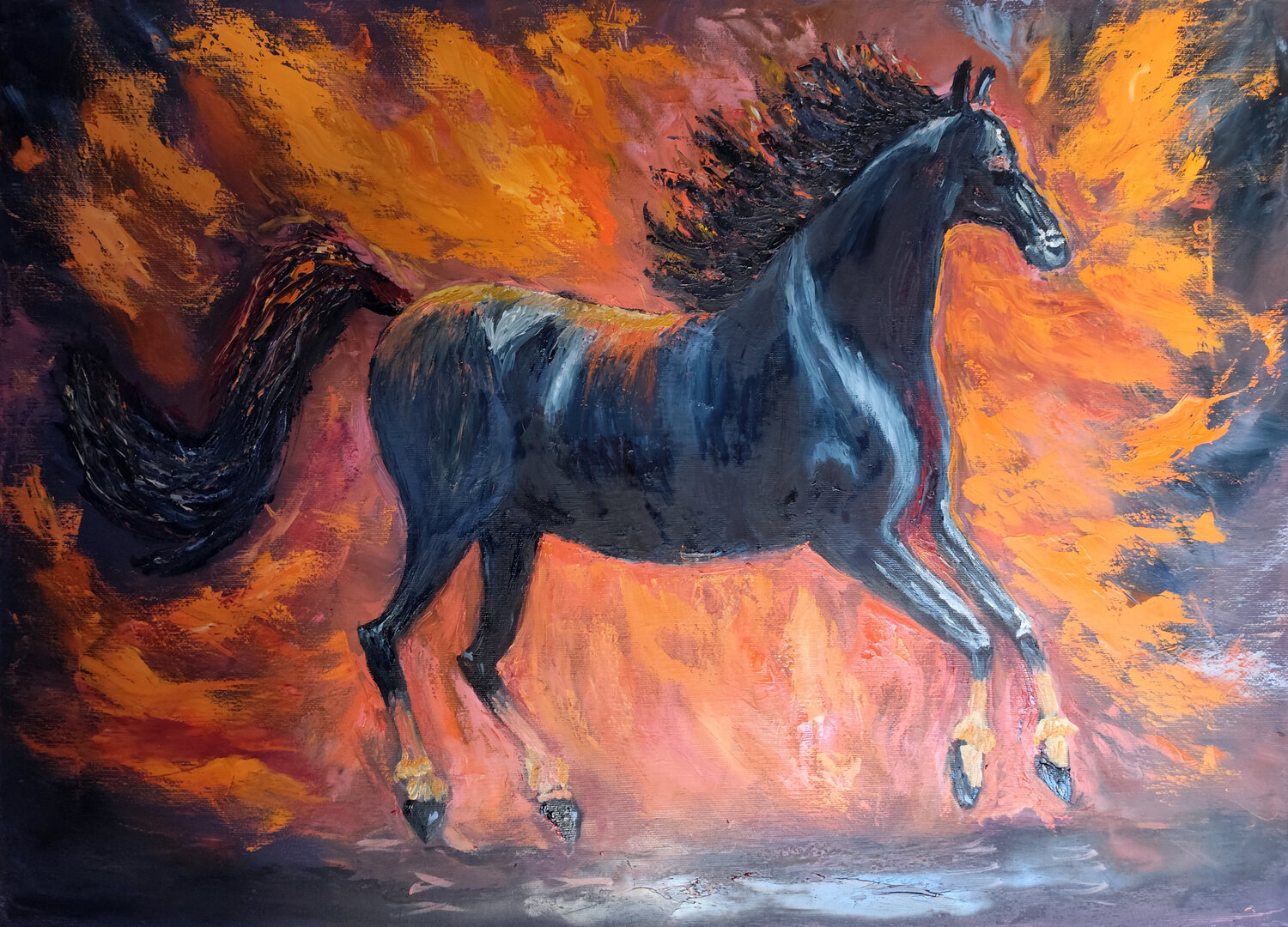 Cavallo nero, anima di fuoco Maria Galan Original painting for sale