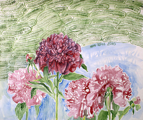 Pfingstrosen in Gurken by Anna Rona, Painting for Sale on Select