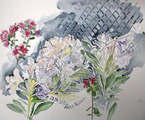 Rhododendron by Anna Rona, Painting for Sale on Select