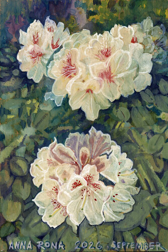 Blühenden Rhododendron by Anna Rona, Painting for Sale on Select