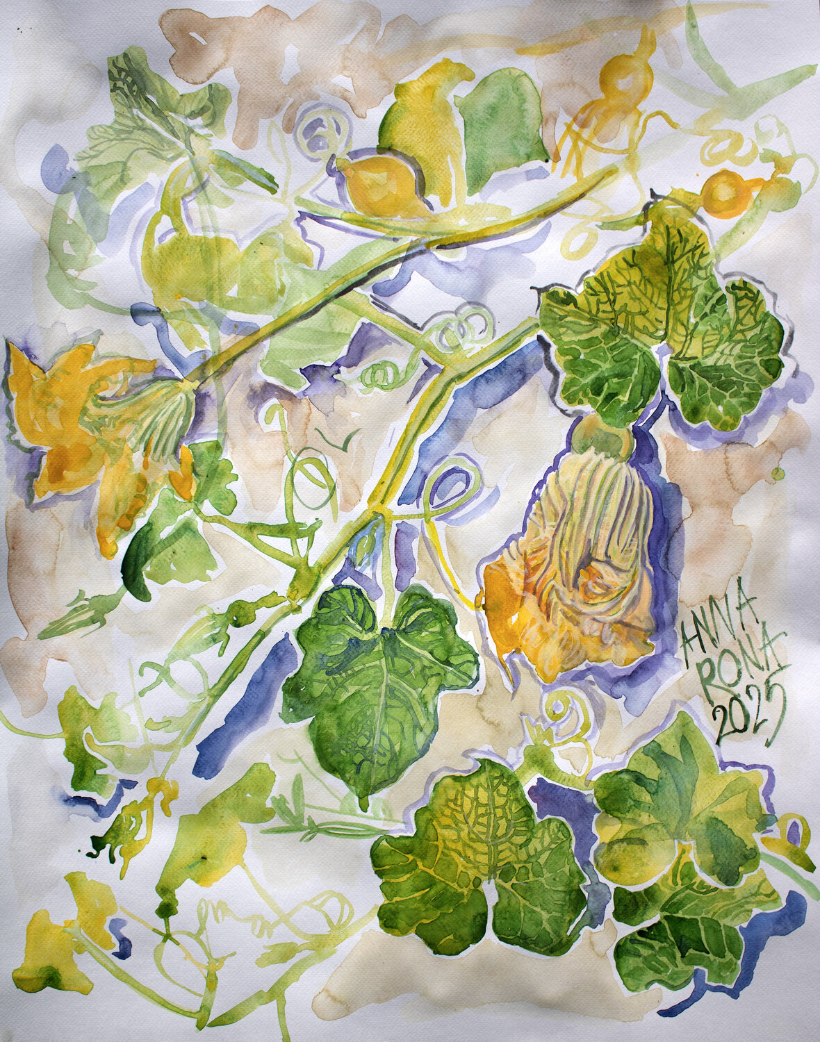 Zucchini Anna Rona Original painting for sale
