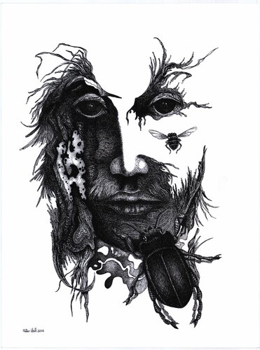 Käfer by Peter Wall, Drawing for Sale on Select