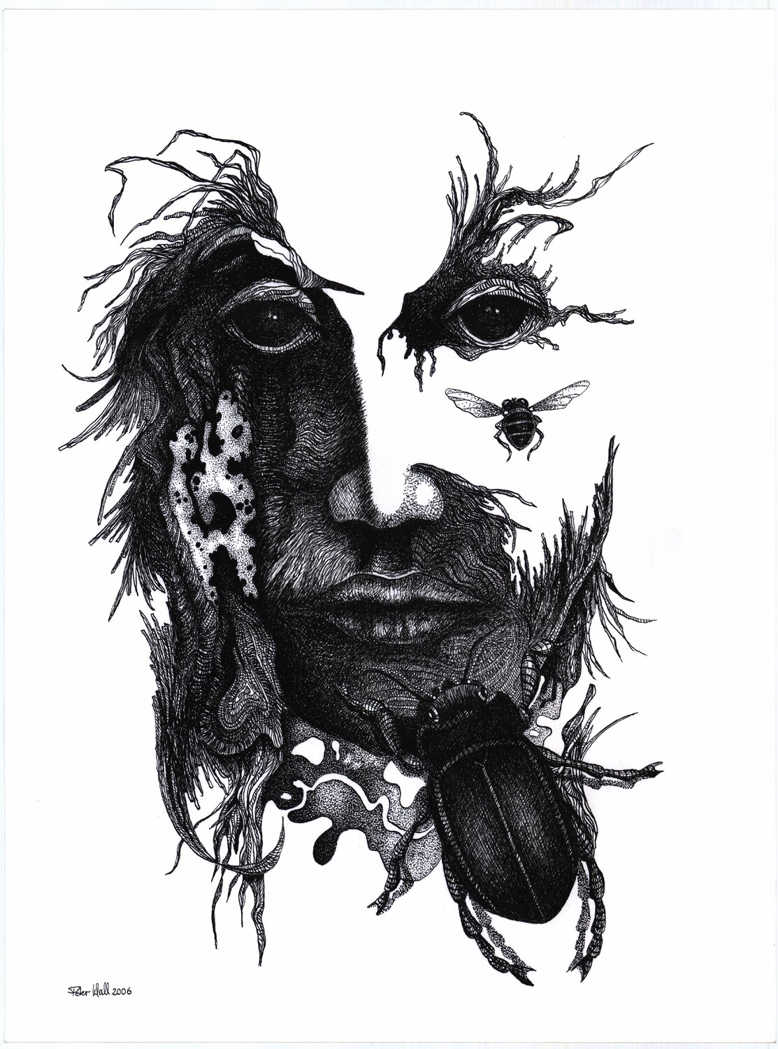 Käfer Peter Wall Drawing for sale