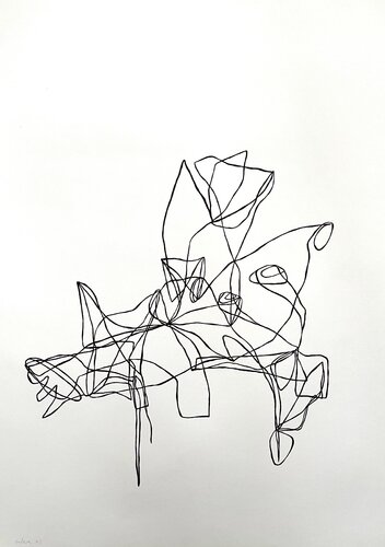 Organismus III-01 by Oliver Euler, Drawing for Sale on Select