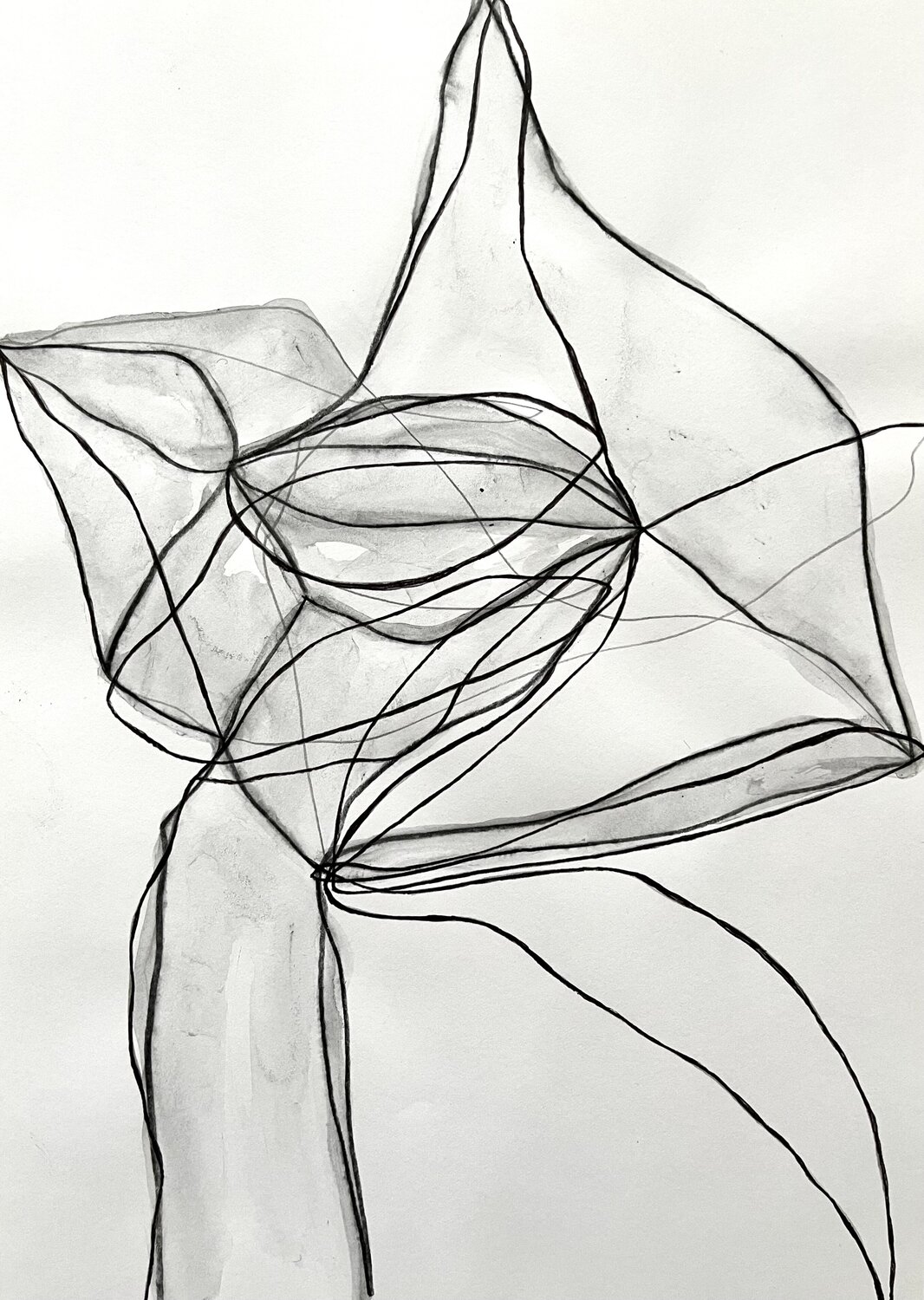 Ovid I-B Oliver Euler Drawing for sale