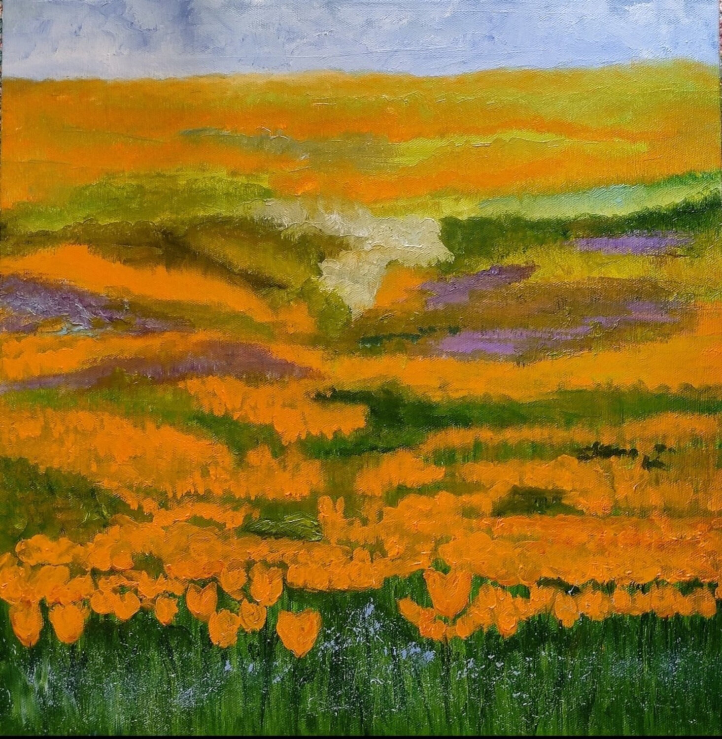 California poppies Miriam Brussato Original painting for sale
