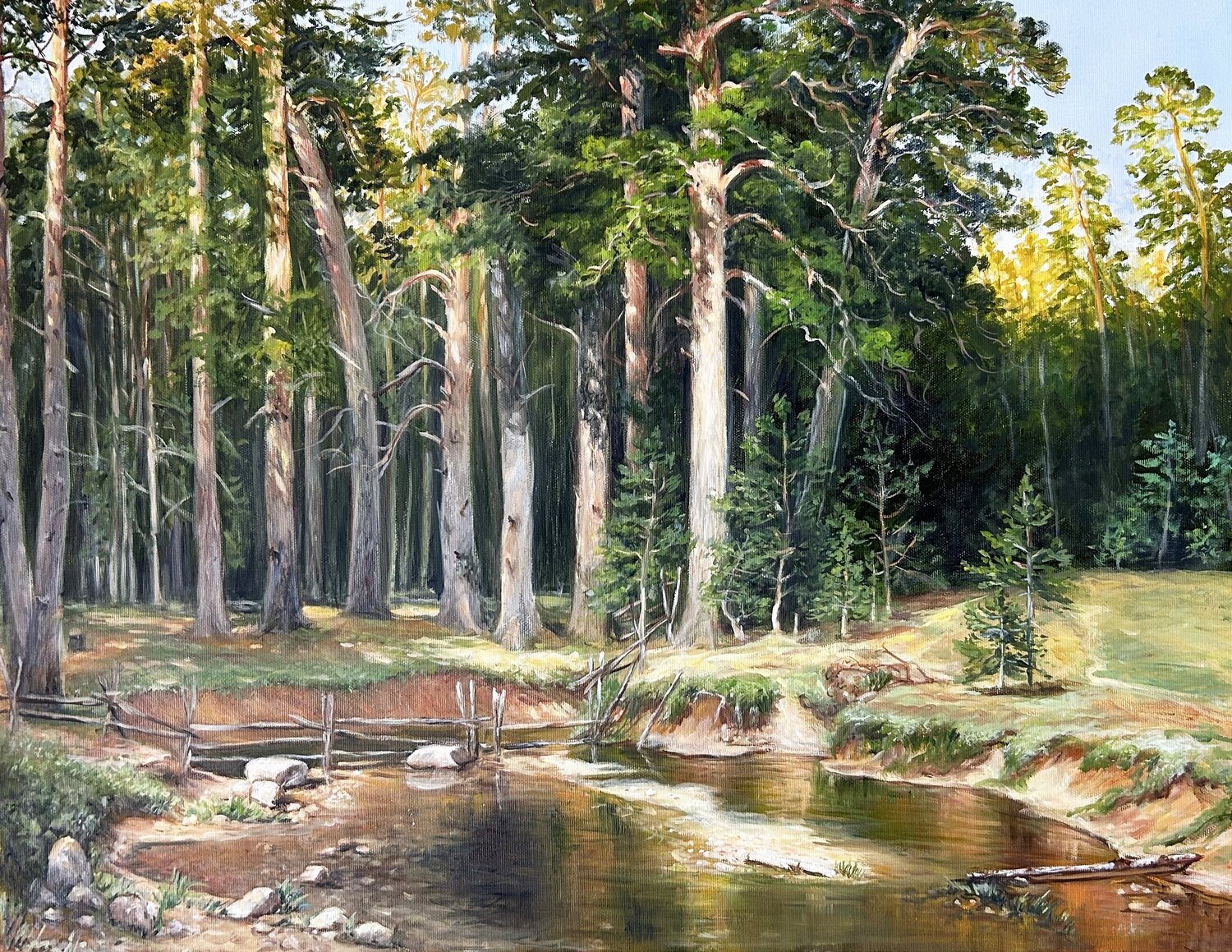 Pine Trees Olga Begisheva K. Original painting for sale
