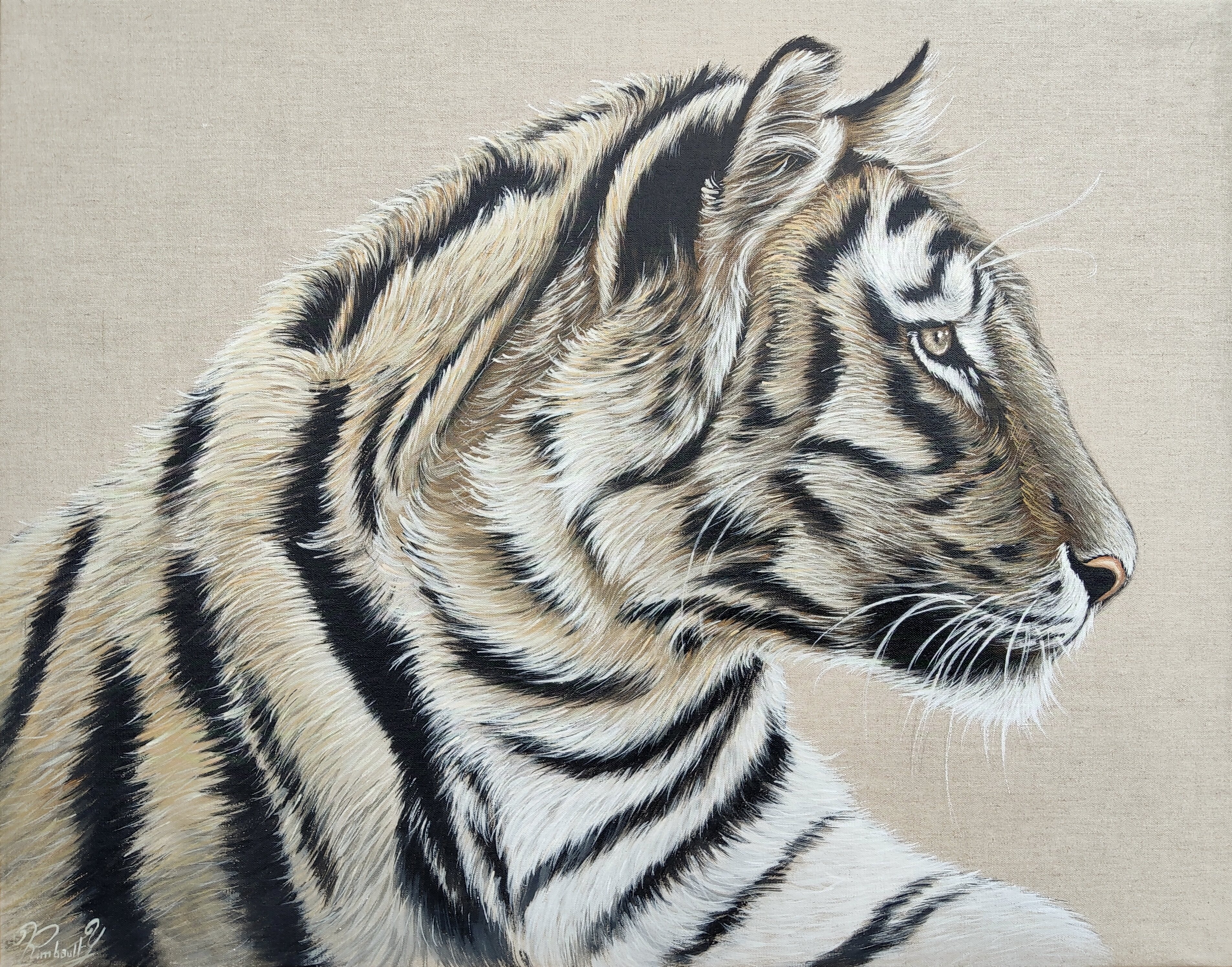 Topic Tiger paintings