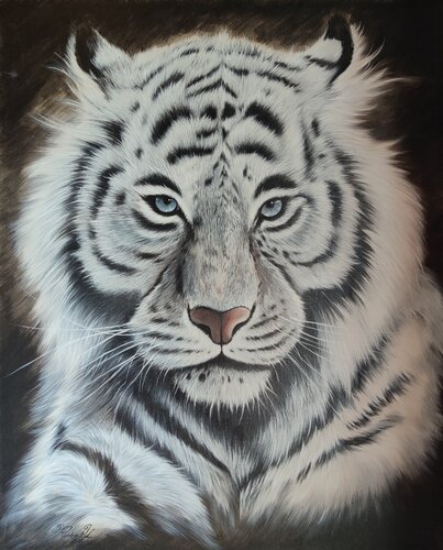 Face au tigre blanc by Yoan RIMBAULT, Painting for Sale on Select