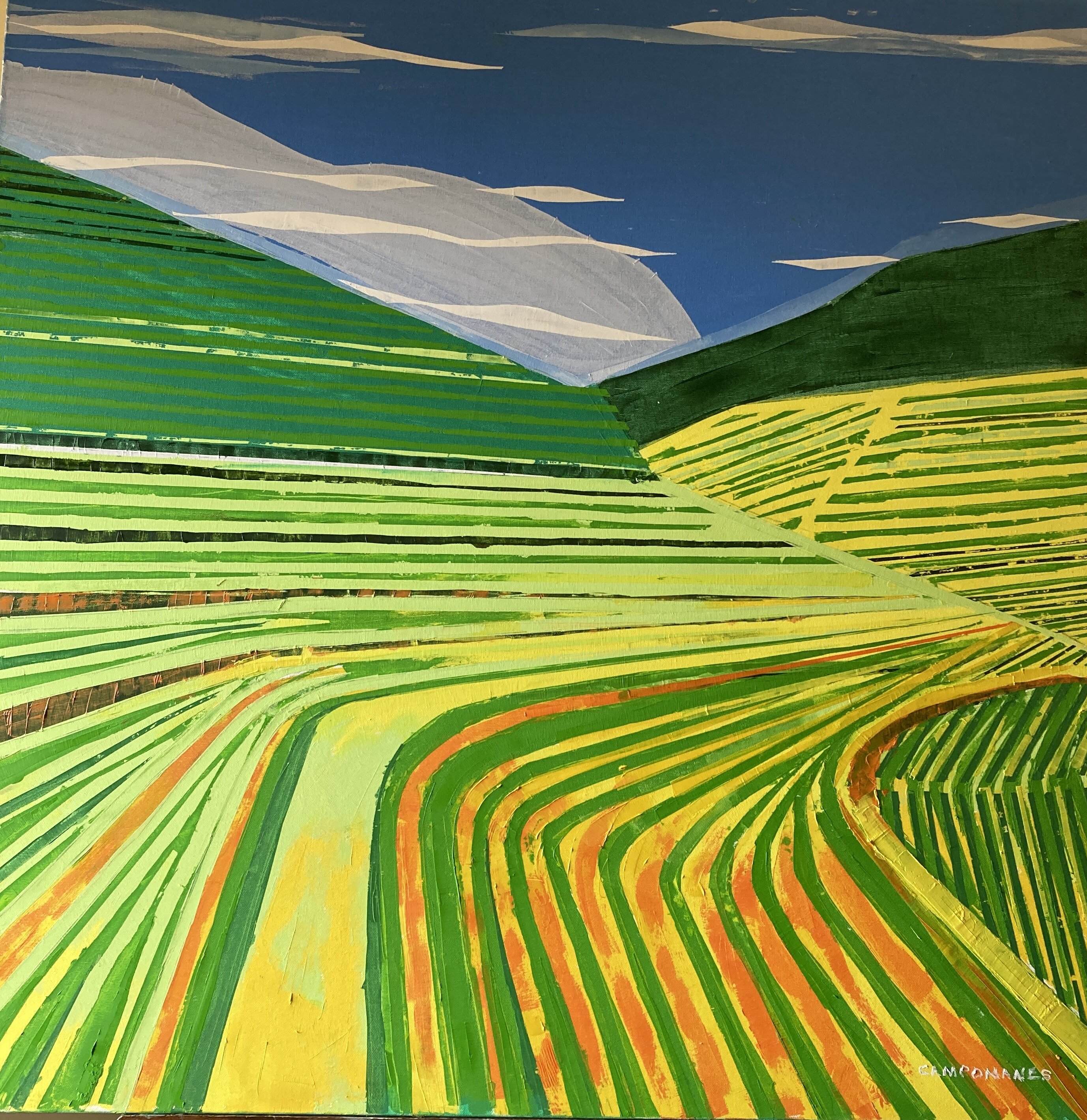 Campos de cultivo II