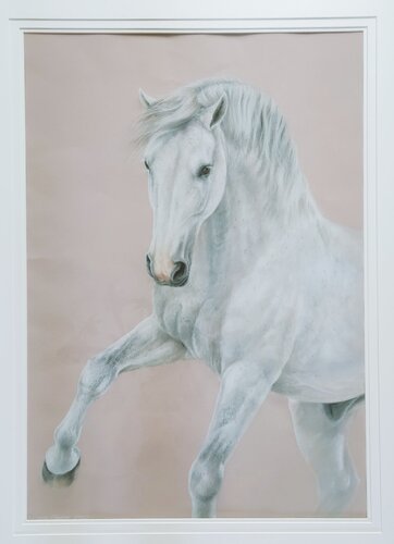 Prinz II by Michaela Stocker, Painting for Sale on Select