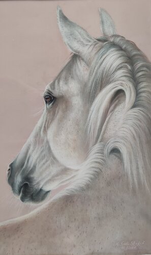 Prinz III by Michaela Stocker, Painting for Sale on Select
