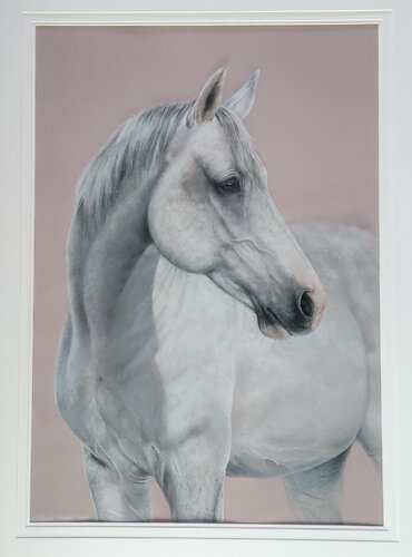 Prinz I by Michaela Stocker, Painting for Sale on Select