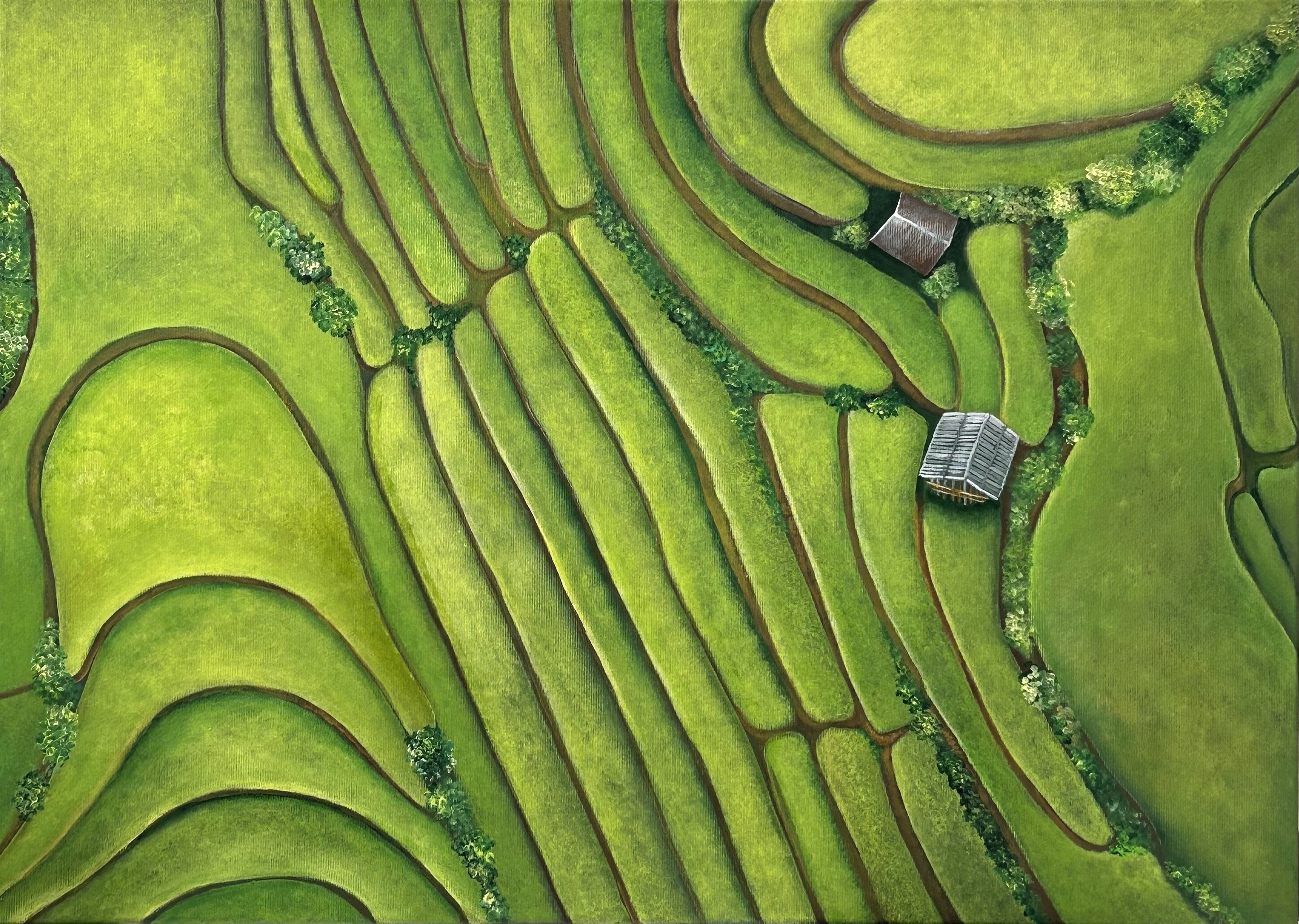 Topic Rice paintings