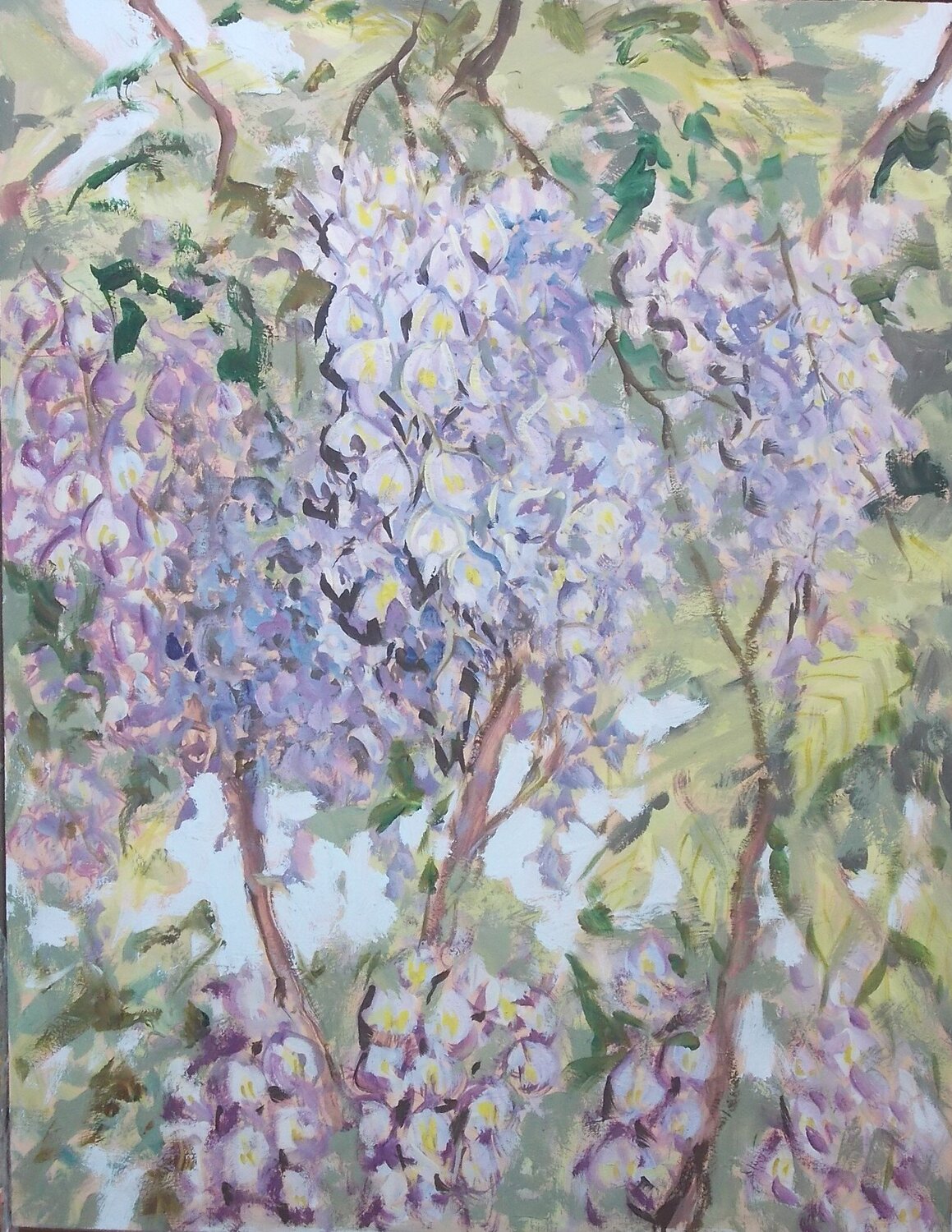 Glicine Daniele Bianco Original painting for sale