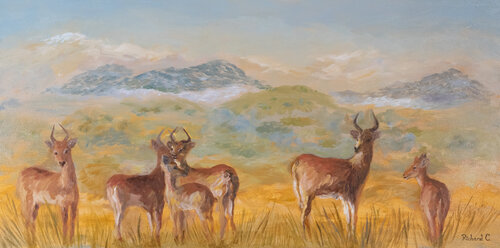 Uninhibited by Richard Chiang, Painting for Sale on Select