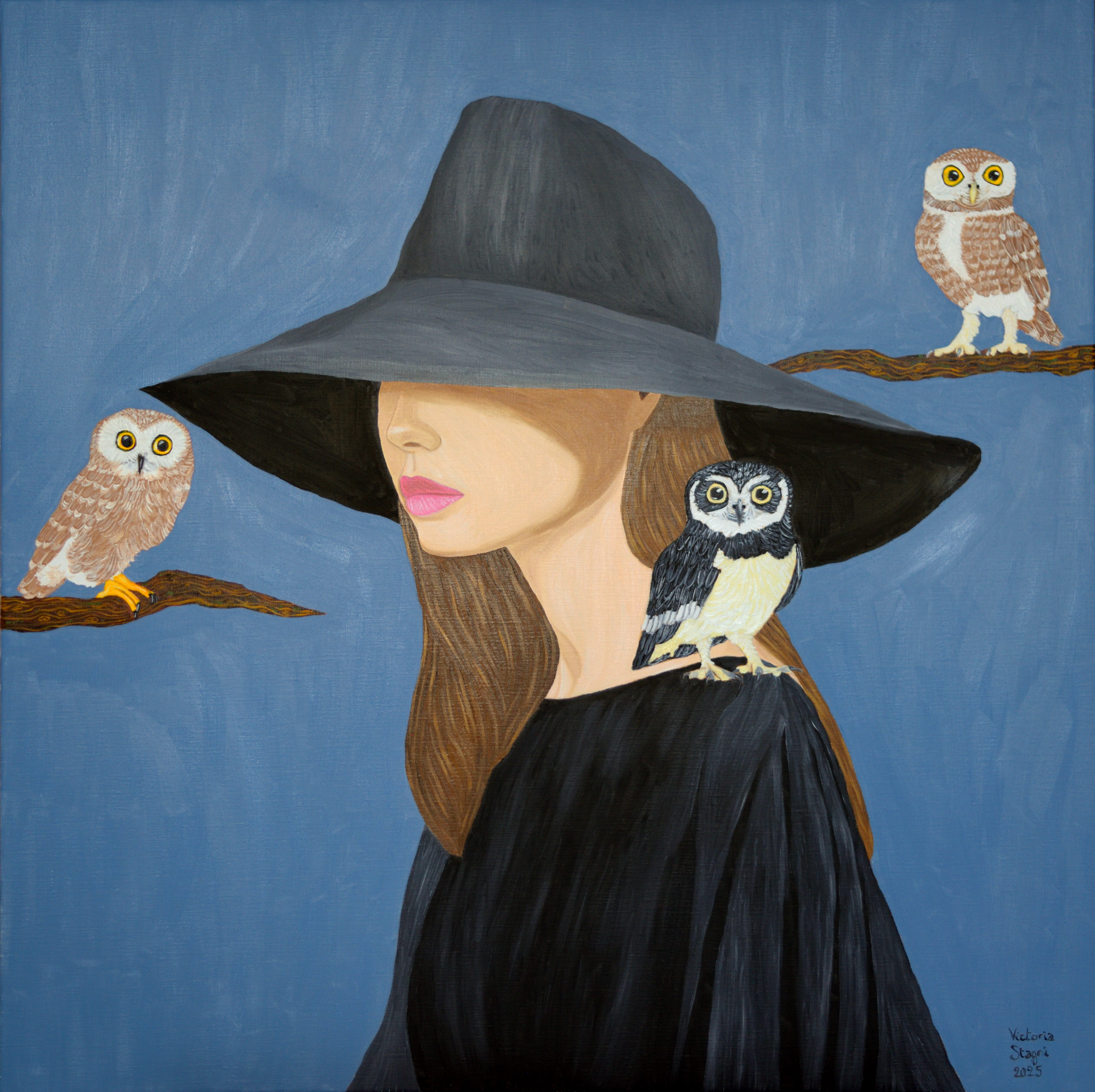 Oiseaux de nuit