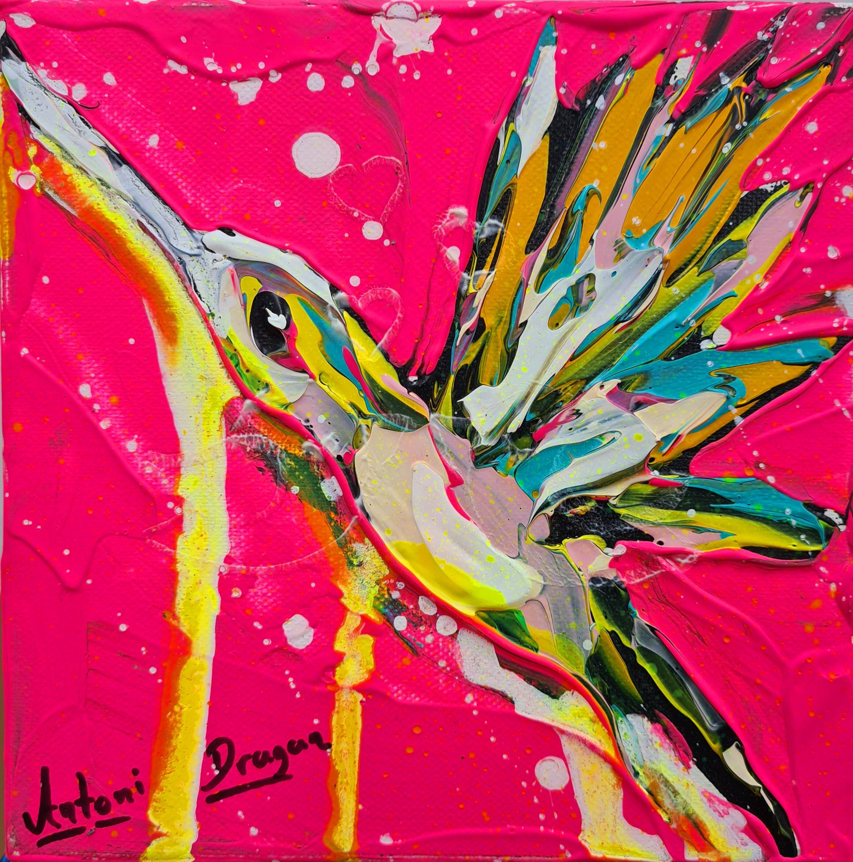 Little hummingbird in pink summer sunset