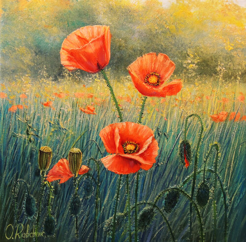 Morning Glory. Poppy Flowers by Oleg Riabchuk, Painting for Sale on Select