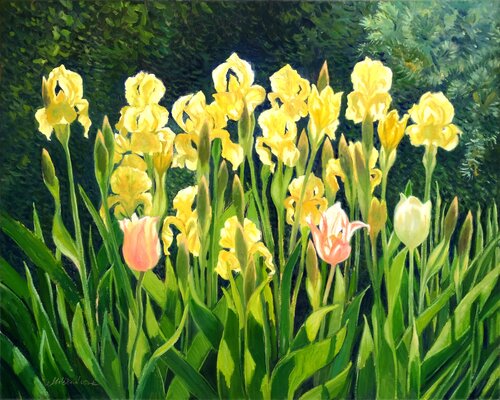 Yellow irises by Richard Mierniczak, Painting for Sale on Select