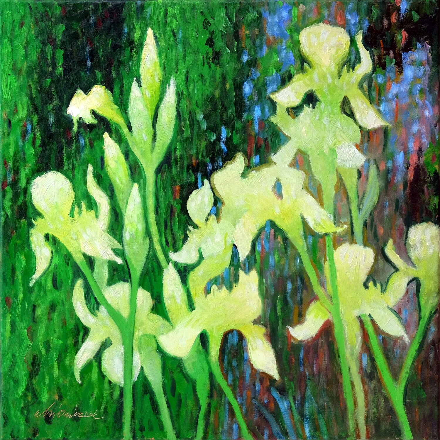White irises Richard Mierniczak Original painting for sale