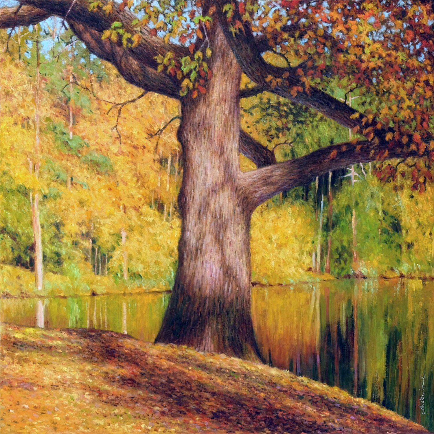 Forest at Baerensee 3. - Old oak Richard Mierniczak Original painting for sale