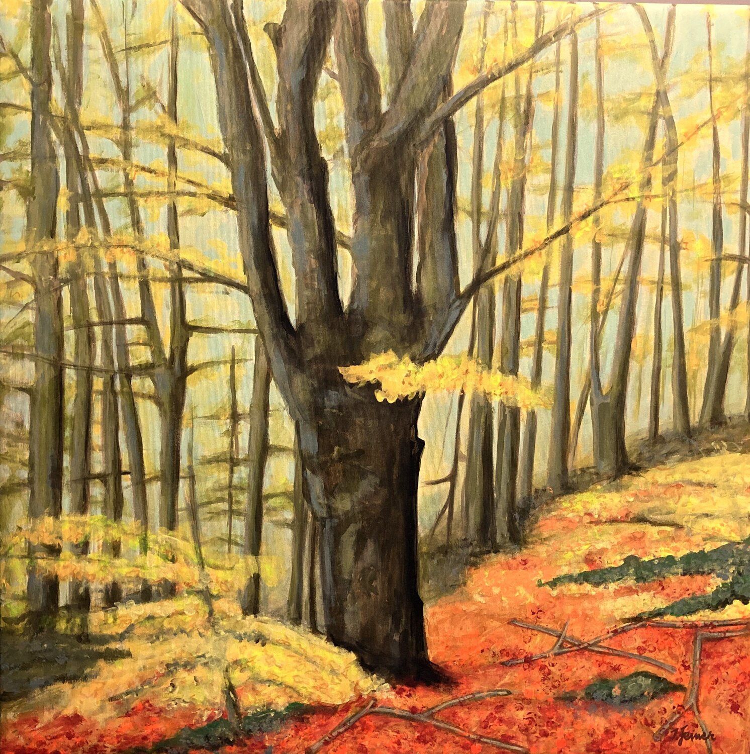 Alte Buche im Herbstlicht Ilse Feiner Original painting for sale