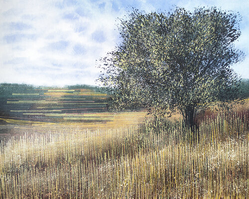 Meadow In Late Summer 2 by Marc Todd, Painting for Sale on Select