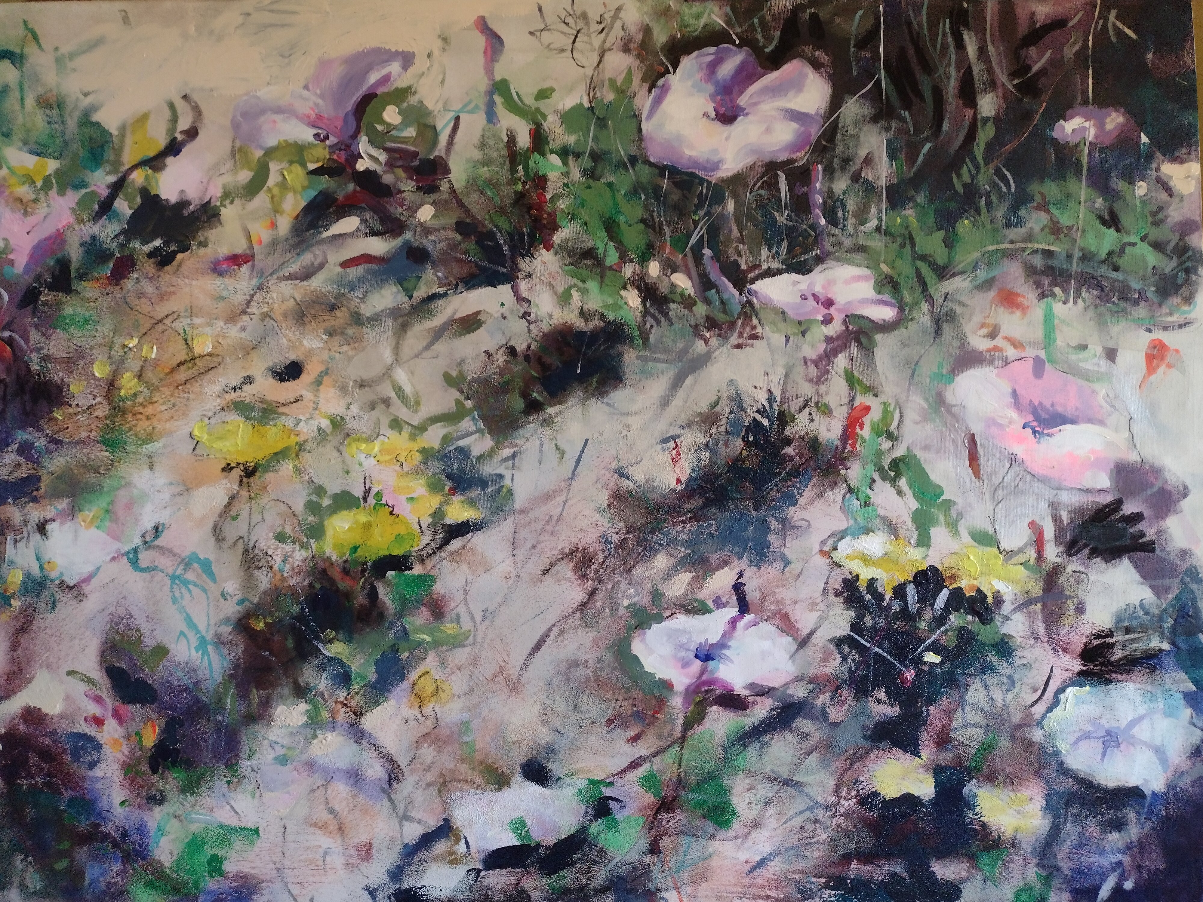 Desert flowers