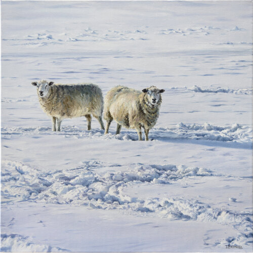 Syltimpression No. 19 - Schafe by Jean-Pierre Kunkel, Painting for Sale on Select