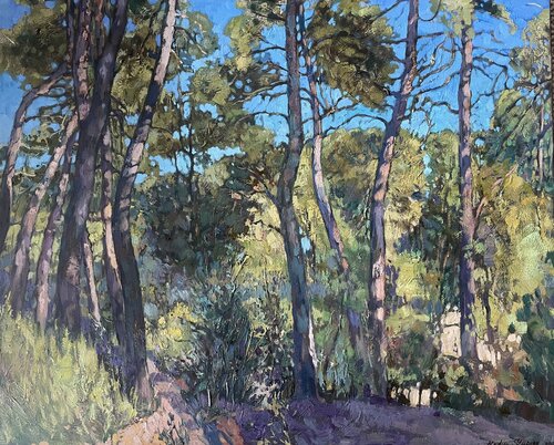 Sunlit pines by Nadezda Stupina, Painting for Sale on Select