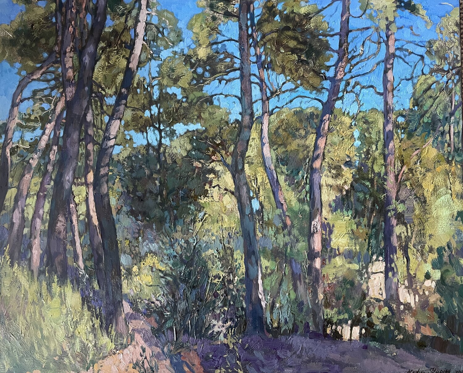 Sunlit pines Nadezda Stupina Original painting for sale
