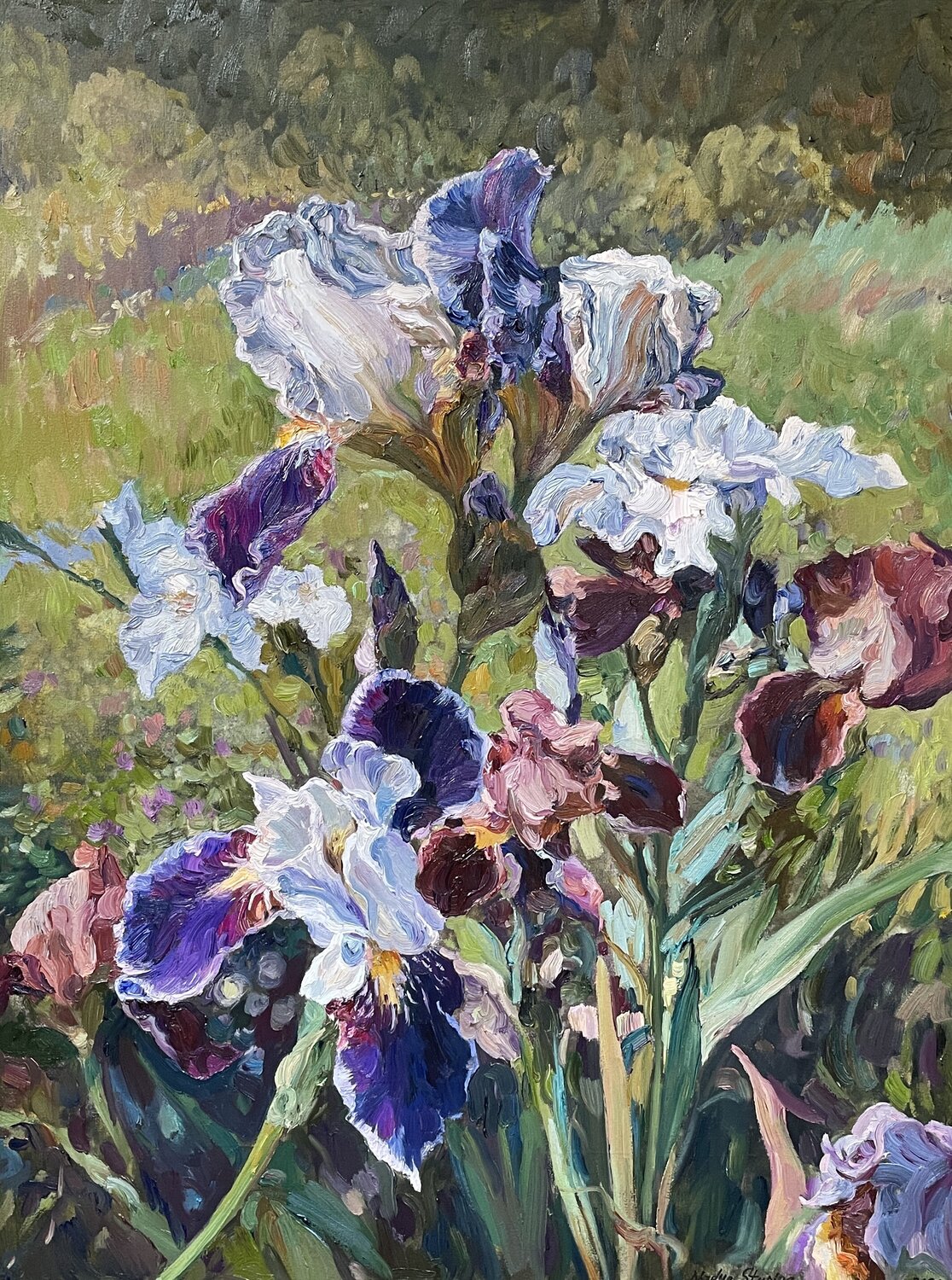 Royal iris Nadezda Stupina Original painting for sale