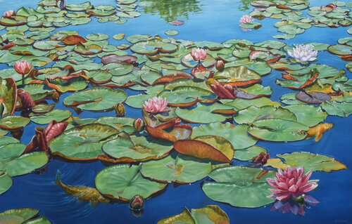 Across the Pond by Catherine Kirkwood, Painting for Sale on Select