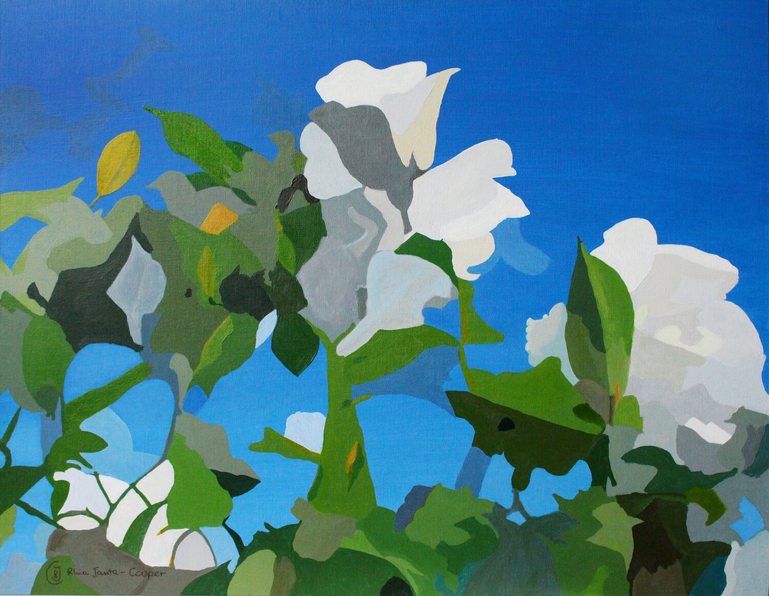 White Roses of York IV Rhia Janta-Cooper Original painting for sale